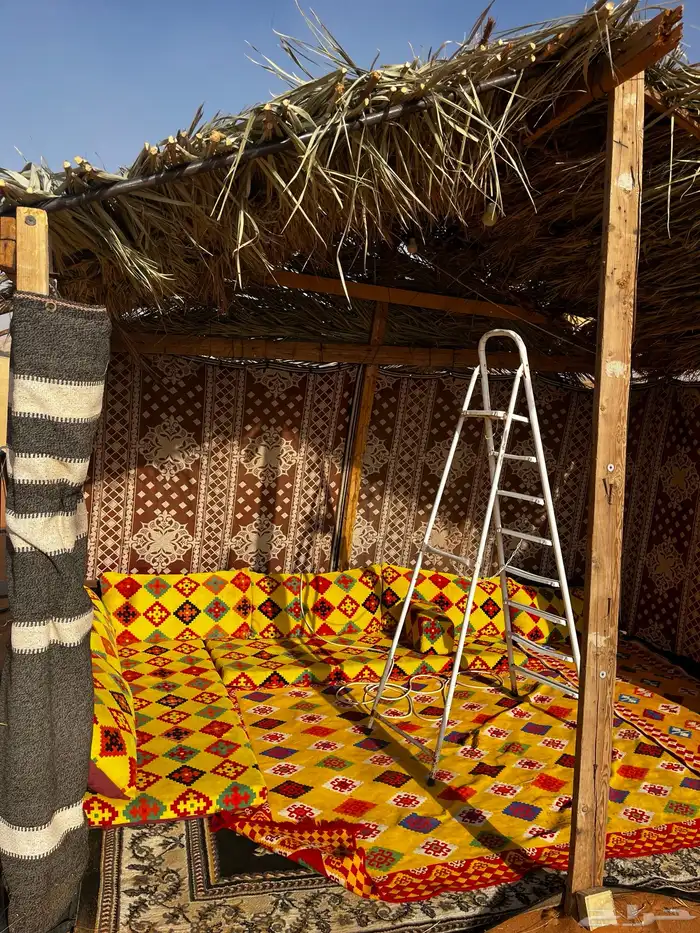 مخيم متوفر للايجار 6