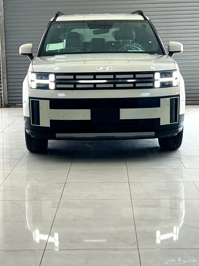 اكسنت سوناتا النترا 20