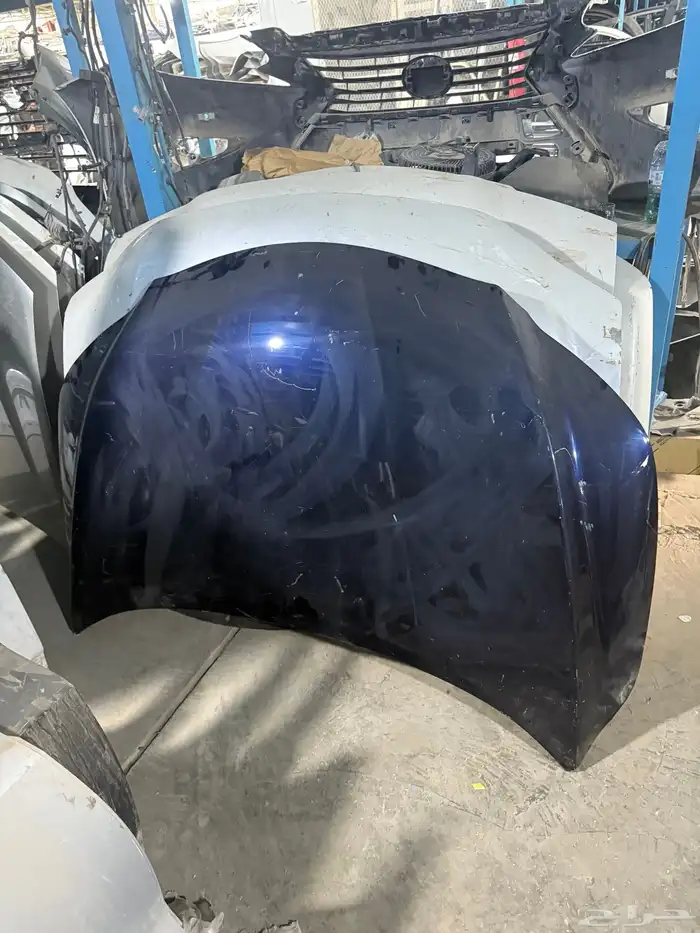 كبوت لكززRX موديل 2019___2020___2021 وكاله 1