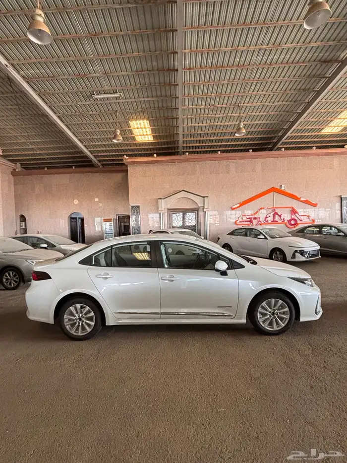 كورلا 2025 جنوط 1