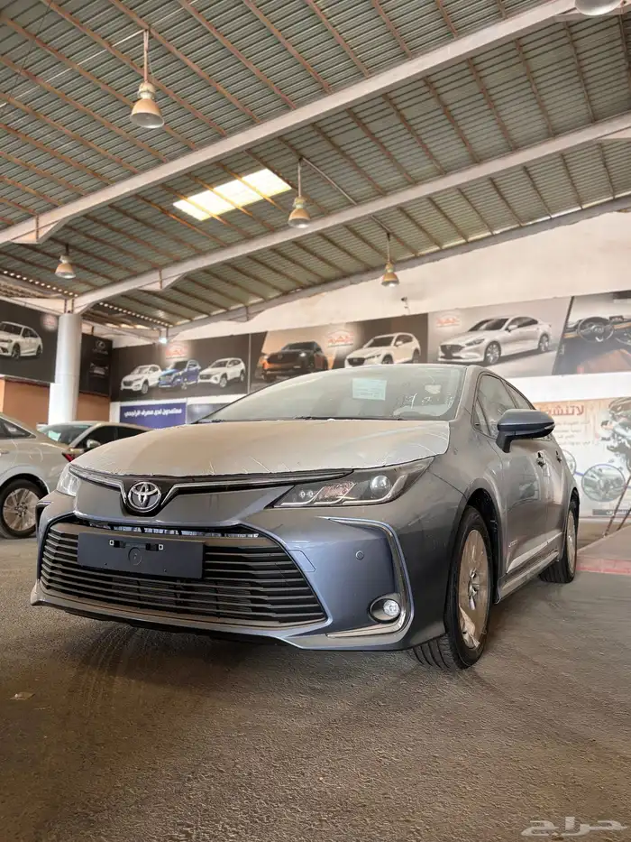 كورلا 2025 جنوط 6