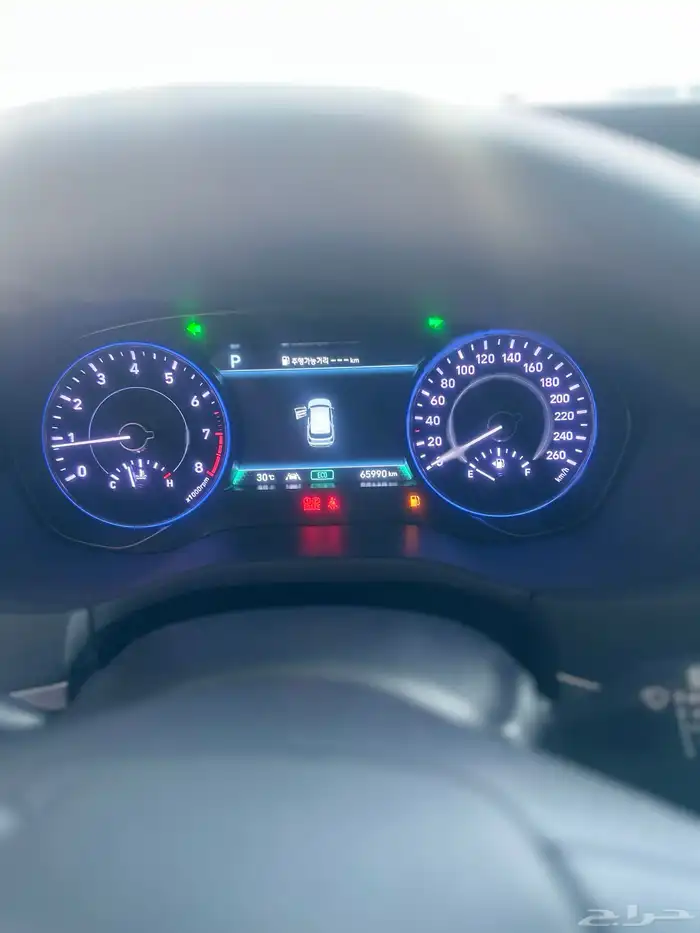 هيونداي بالاسيد 2022 19