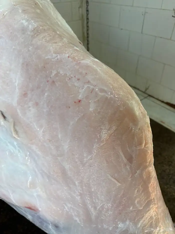 حاشي مفرود جاي من البر 1