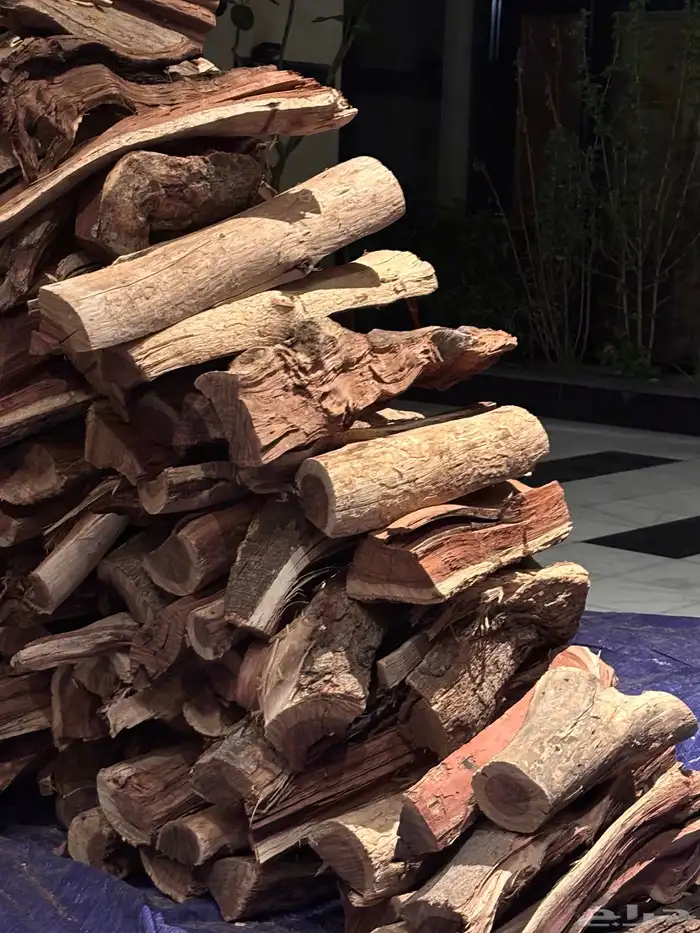 غظاء ارطاء سمر 8