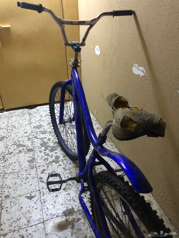 يوجد سيكل مقاس 24 فقط فيه صدمه خفيفه من ورا على السوم 1