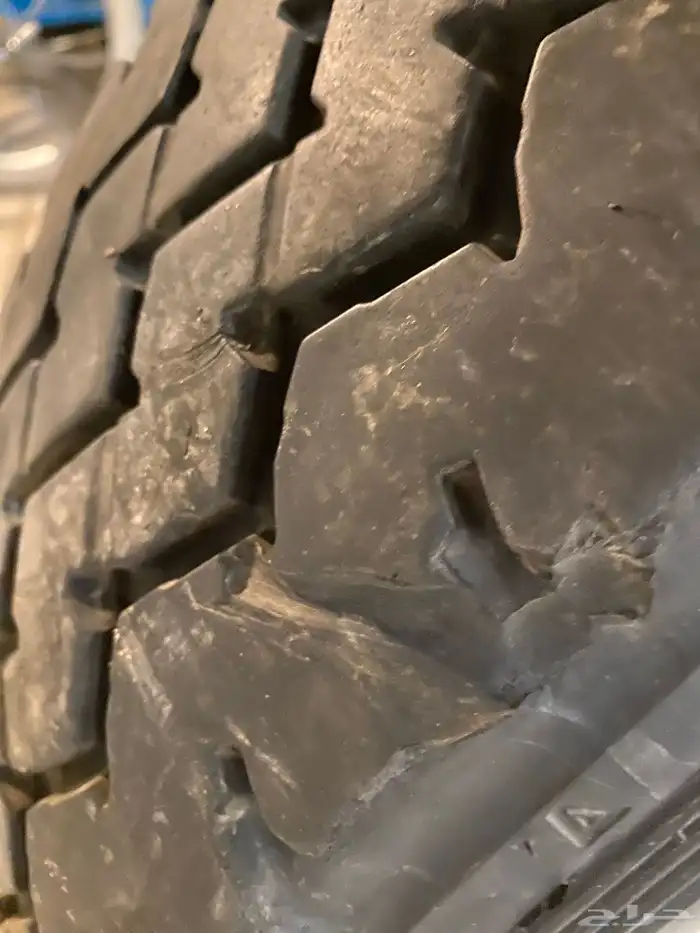 ستبنه جيب ربع كفر دنلوب للبيع 0