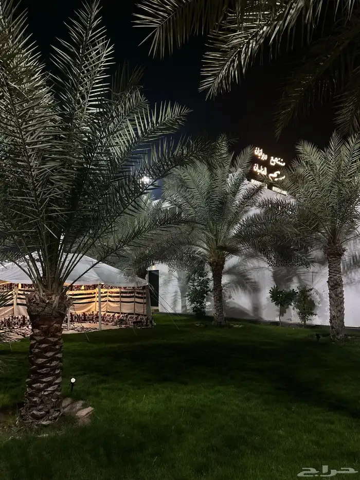 ملعب ومجالس ومزرعه ومسبح للاجار اليومي الدمام 15