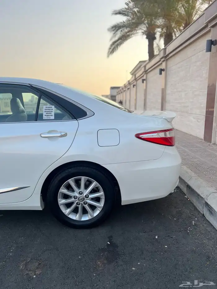 تم البيع تم البيع 13