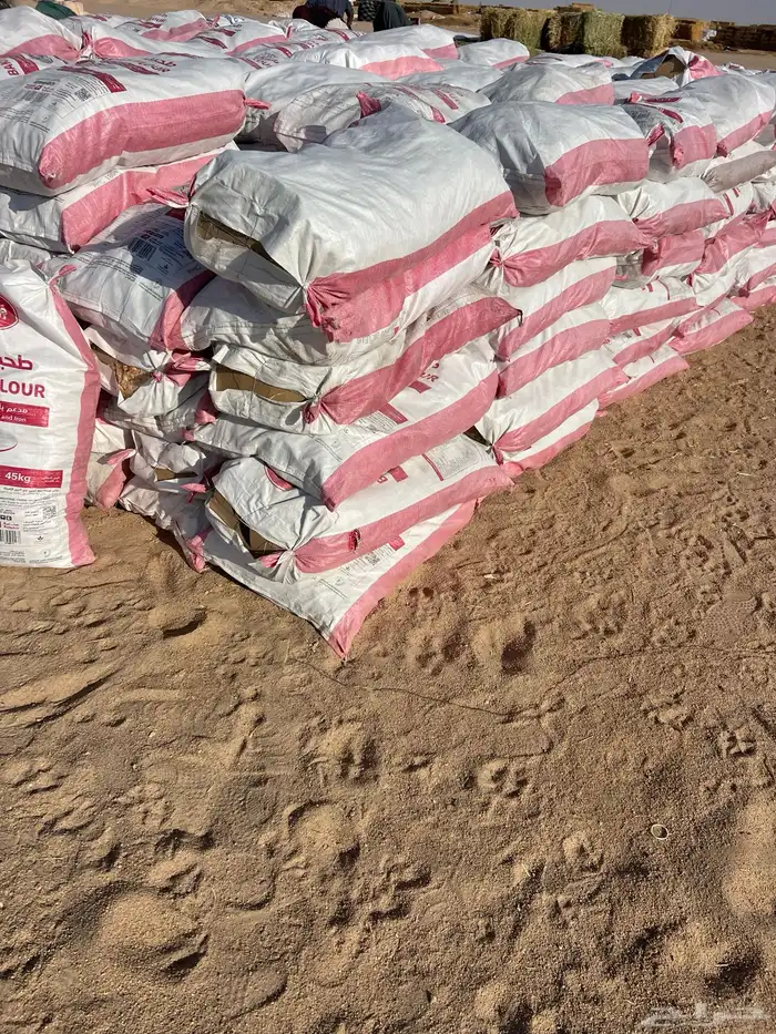 أعلاف الخير السعيرة 9