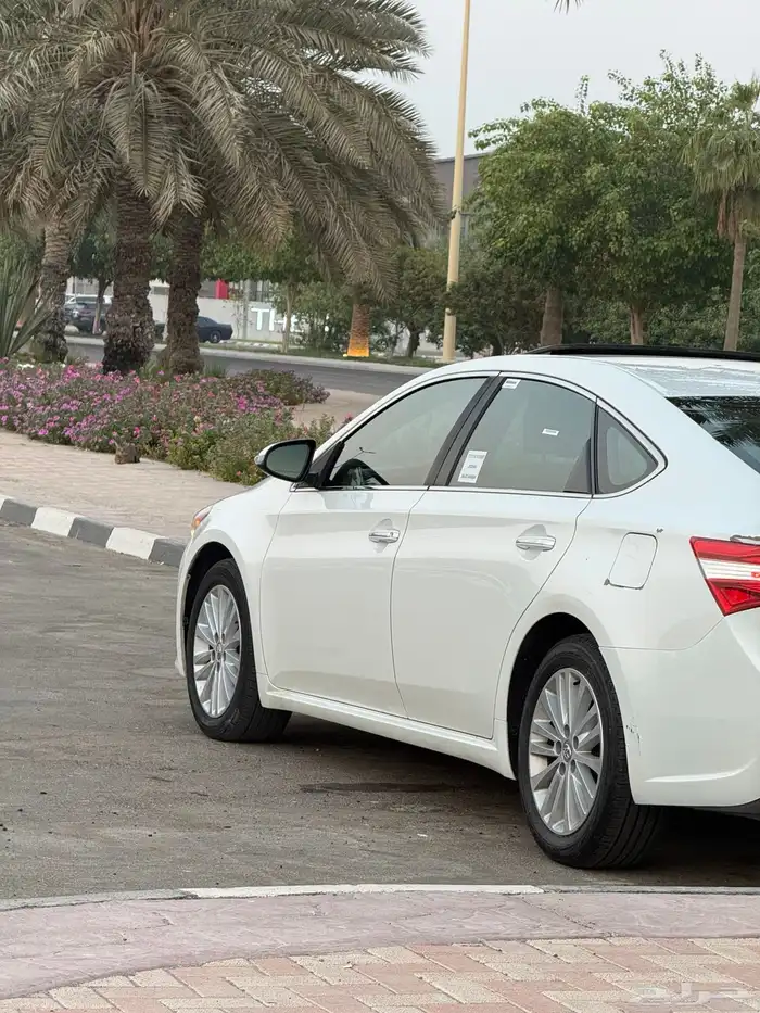 افالون 2014 قمة بالنظافة ممشى قليل 14