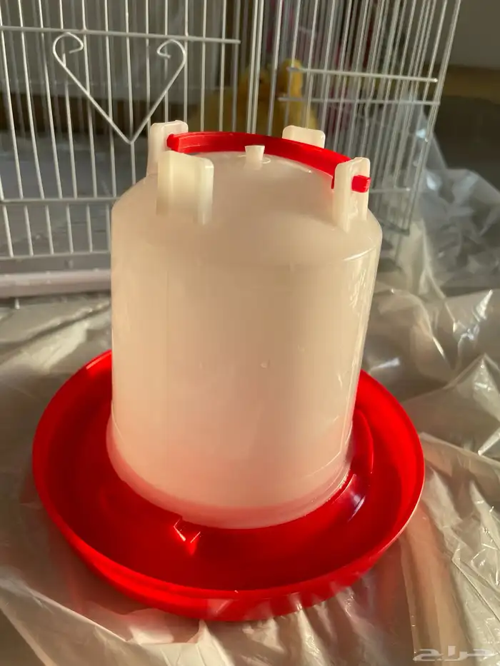 بطتين شاملة اغراضهم ب 250 2