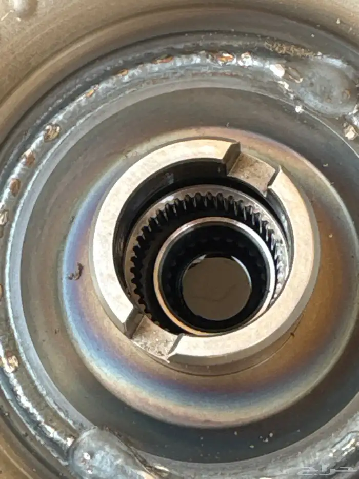 بطيخة قير ازيرا - كادينزا 2017-2021 1