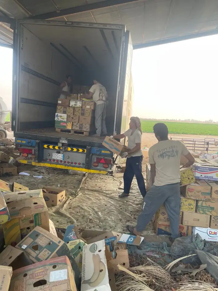 للبيع اعلاف تمور 3000 كيس 1