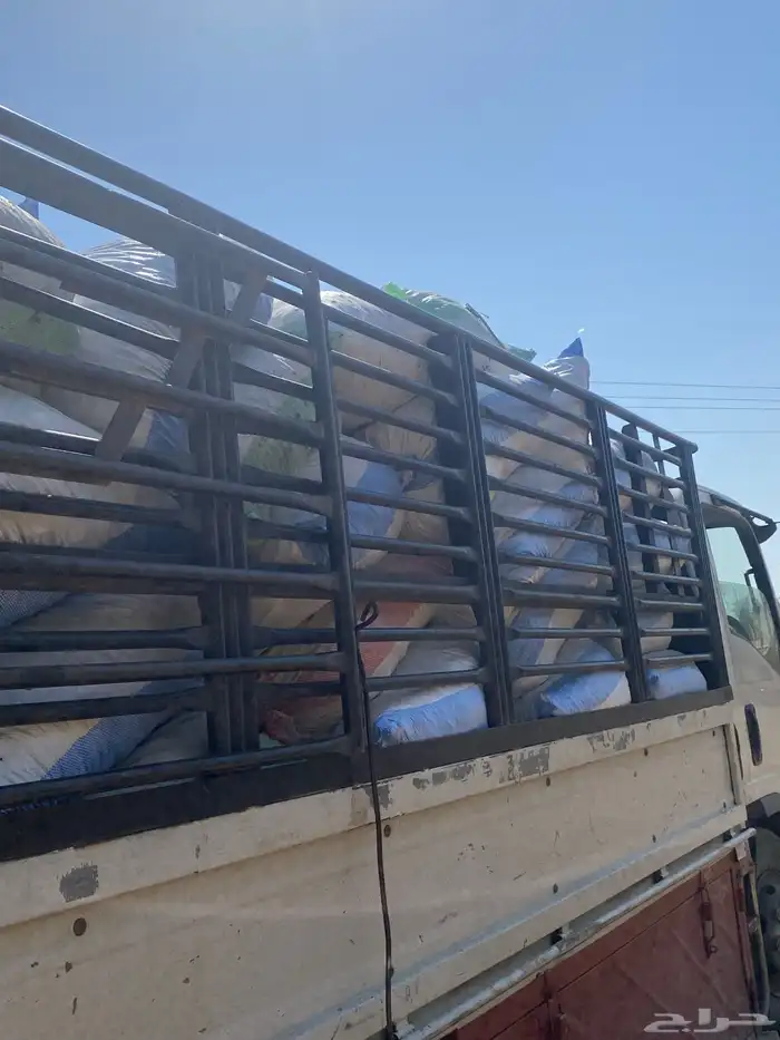 تمر حق حلال نظيف حمله دينه 3