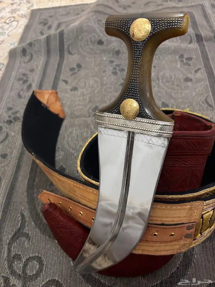 جنبيه وتر جبره 0