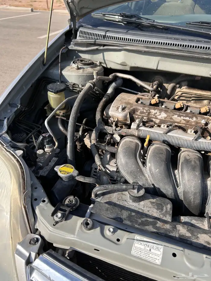 كورلا فل كامل 8