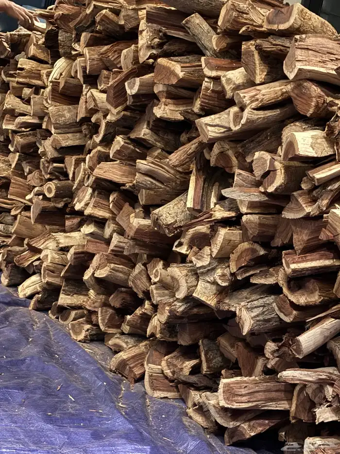 غظاء ارطاء سمر 5