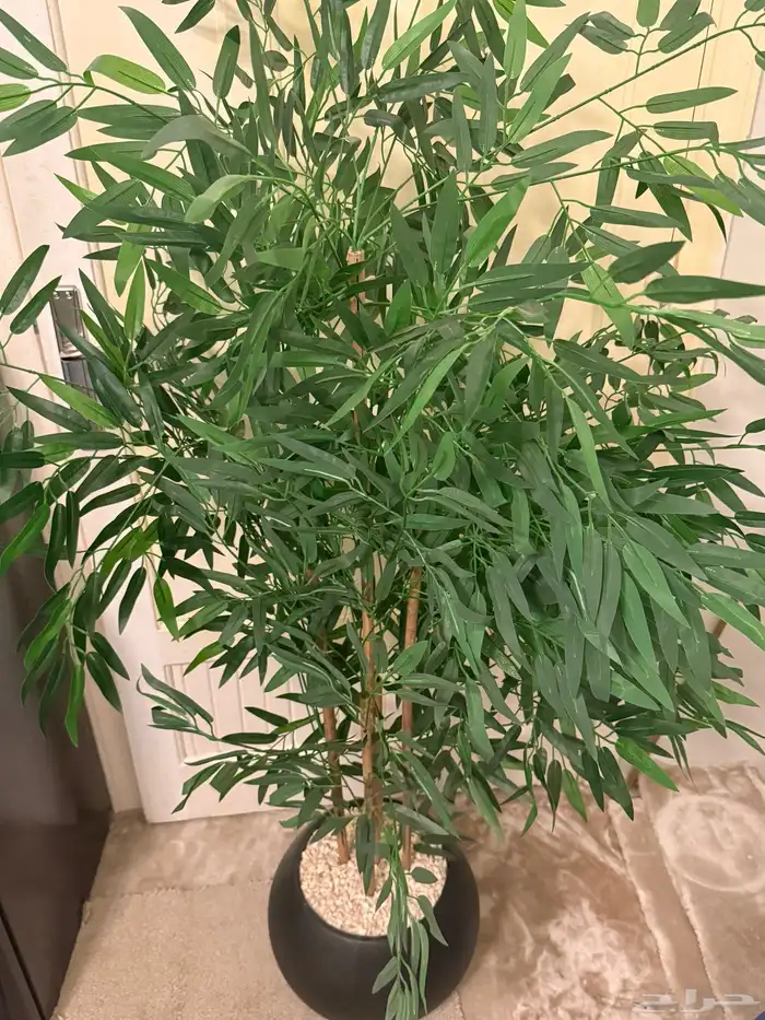 دولاب وسرير وتسريحة 1