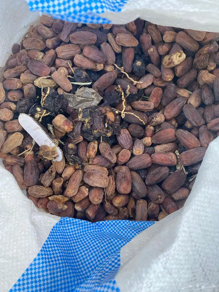 تمر حق حلال نظيف حمله دينه 5