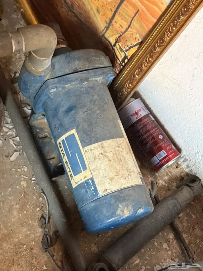 أغراض أنواع علي السسسوم 1