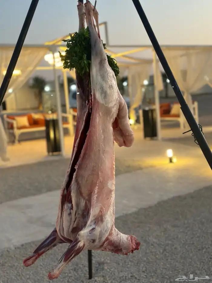 معلم شوي في الدوادمي 47