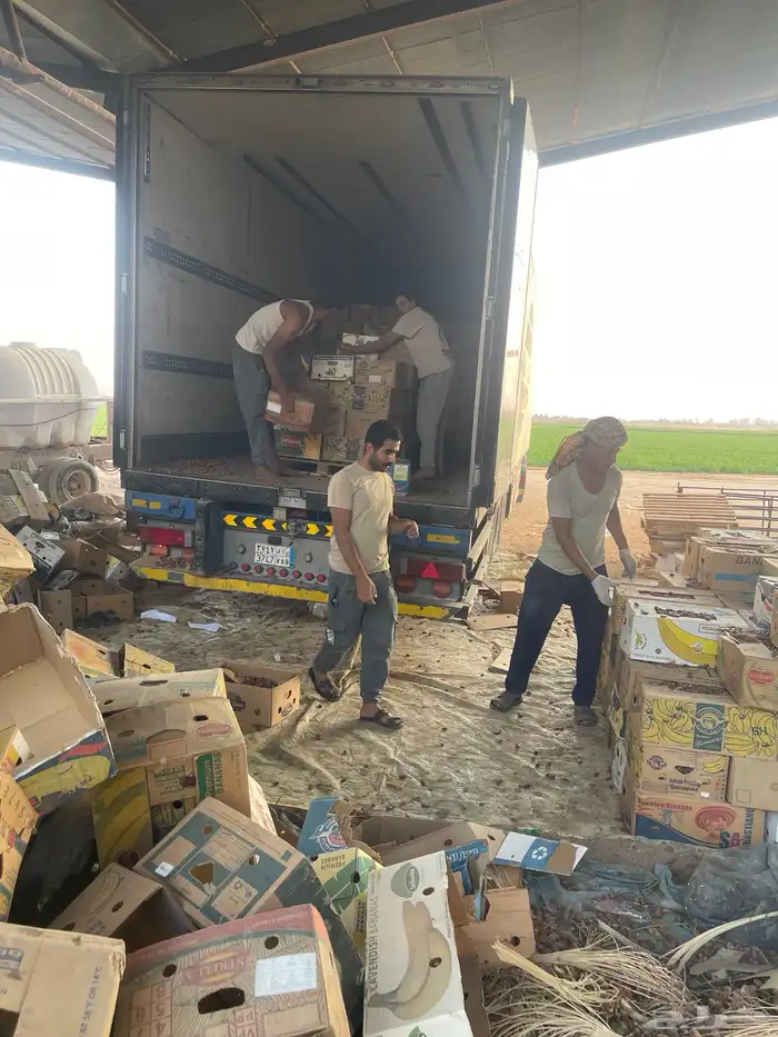 للبيع اعلاف تمور 3000 كيس 5