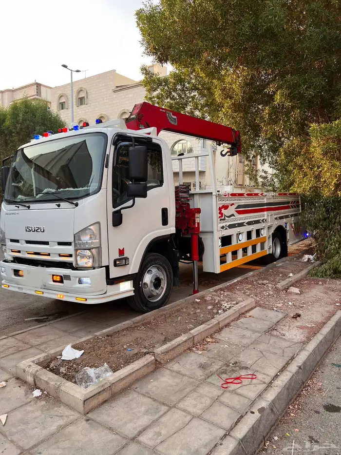 دينا ايسوزو ونش 2012 1