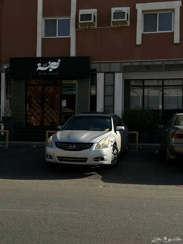 التيما فل الفل 2011 17