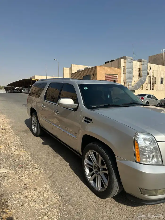 كدلك اسكاليد 2010 2