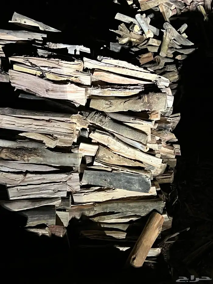 حطب مستورد 1