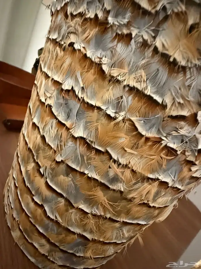 للبيع مجموعة شنط Louis Vuitton أصلية 11