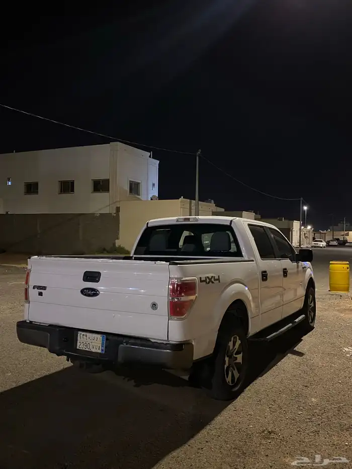 للبيع فورد F-150 1