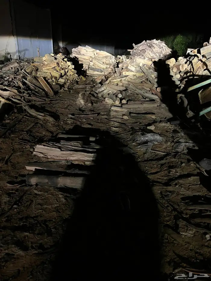 حطب مستورد 2