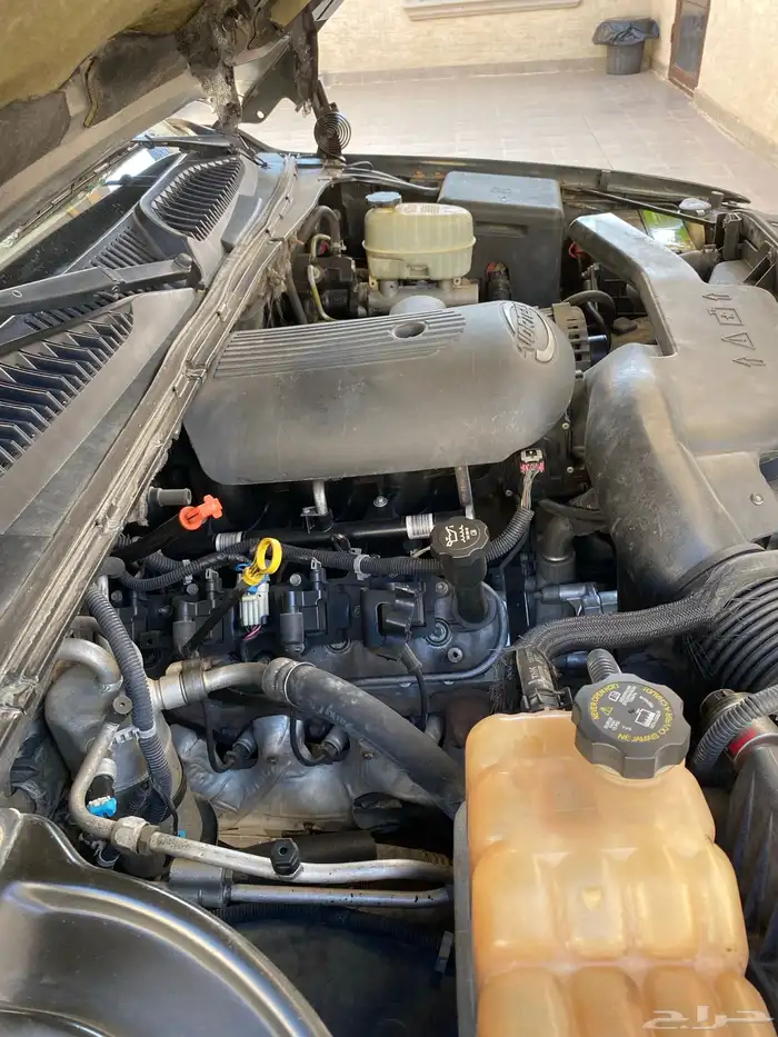 جمس سوبربان 2004 مخزن بودي بلد 12