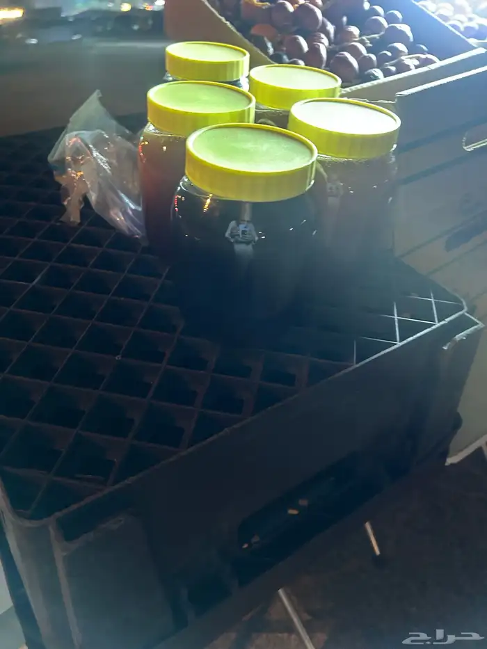 عسل طبيعي سدر عسل طلح 0