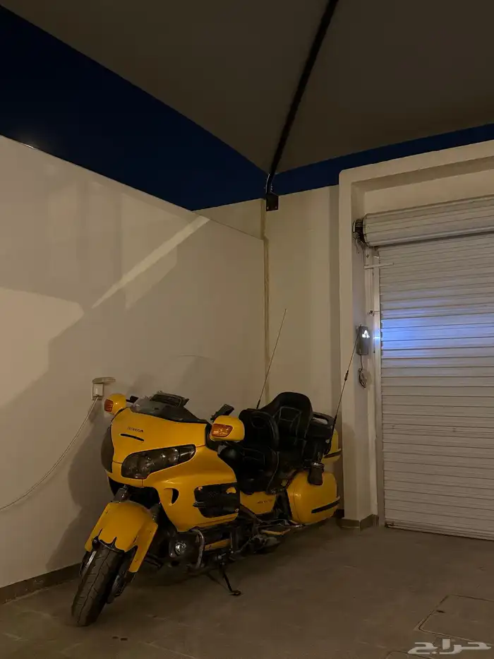 قولد وينق 2009 3