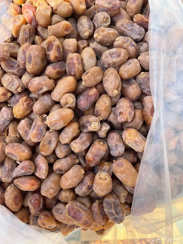 للبيع اعلاف تمور 3000 كيس 8