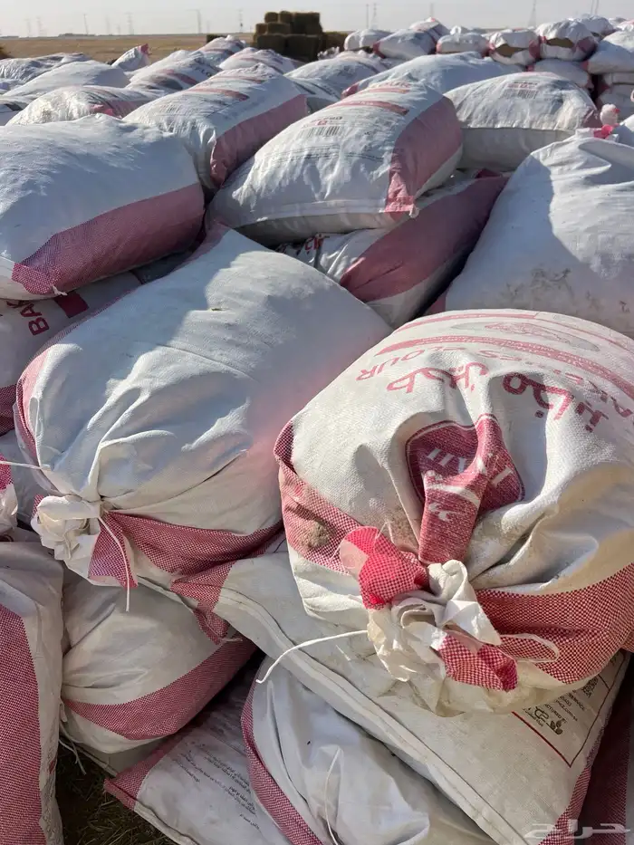 أعلاف الخير السعيرة 6