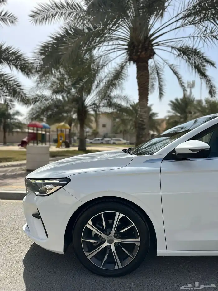 جلي امجراند 7 وارد الوعلان 2023 25