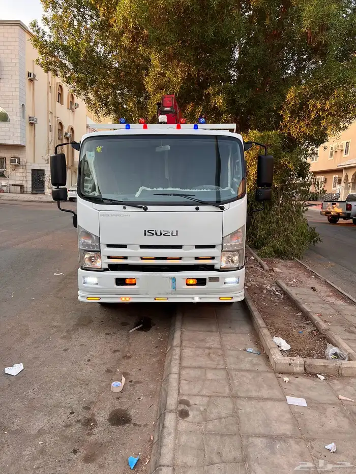 دينا ايسوزو ونش 2012 3