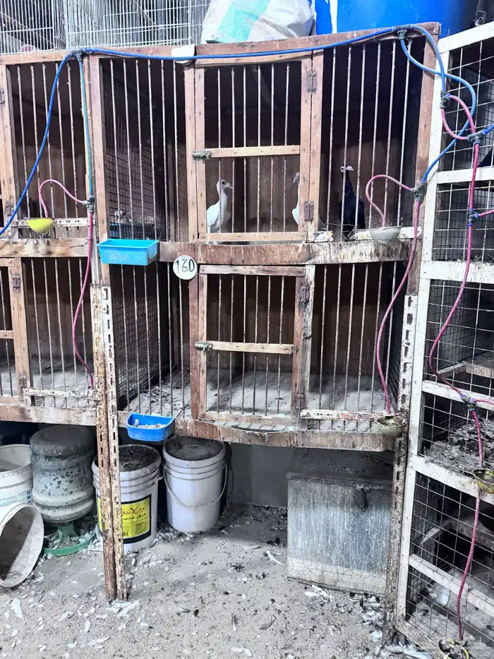 محاكر حمام خشب 1