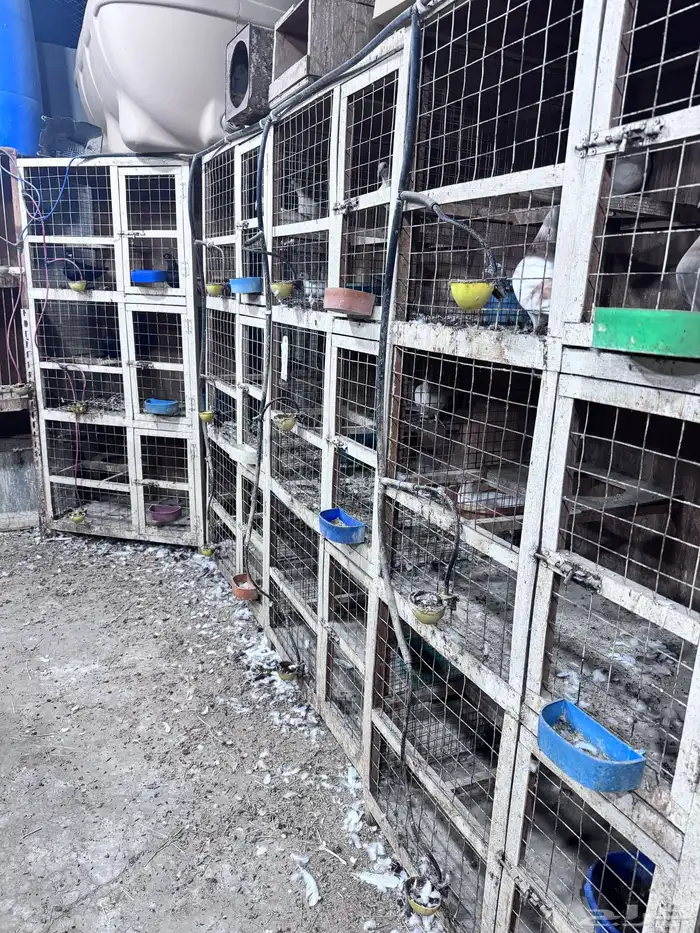 محاكر حمام خشب 2