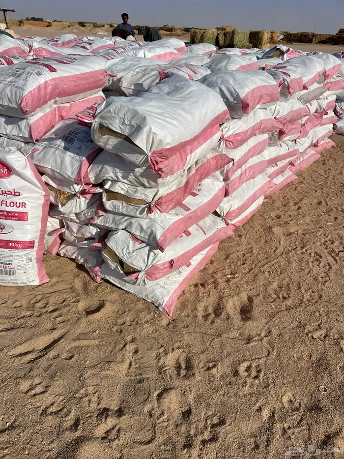 أعلاف الخير السعيرة 11