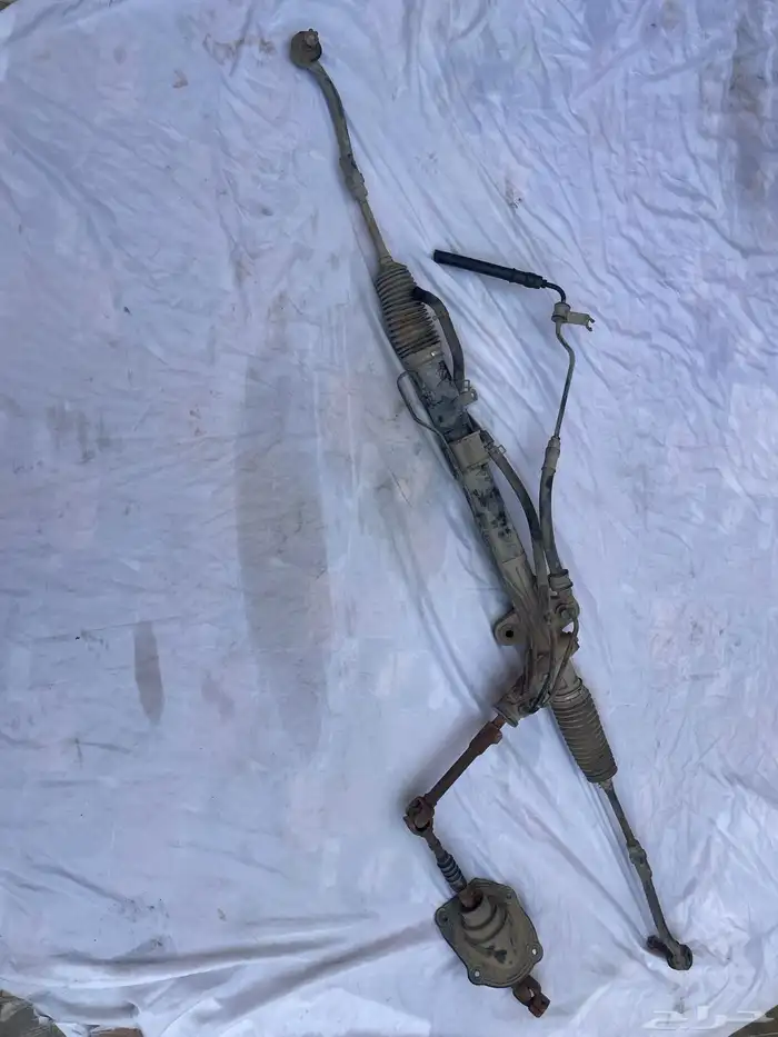 دودة جمس 2006 0