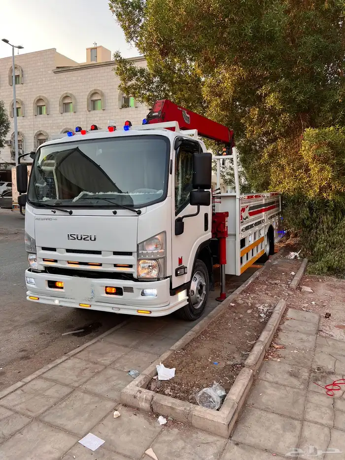 دينا ايسوزو ونش 2012 0