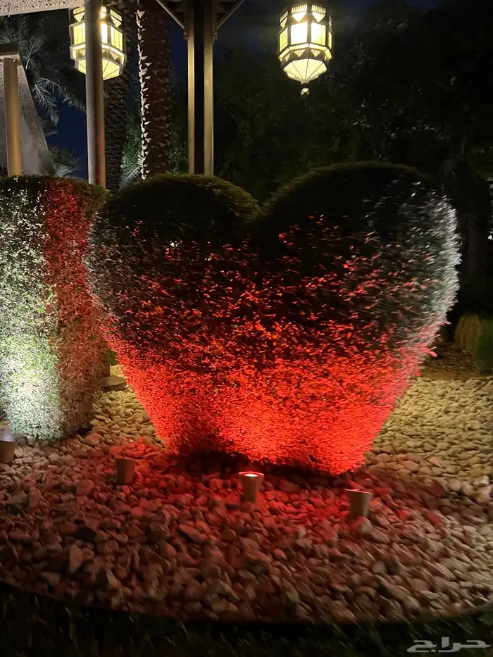 مطلوب شقه او ملحق للإيجار 0