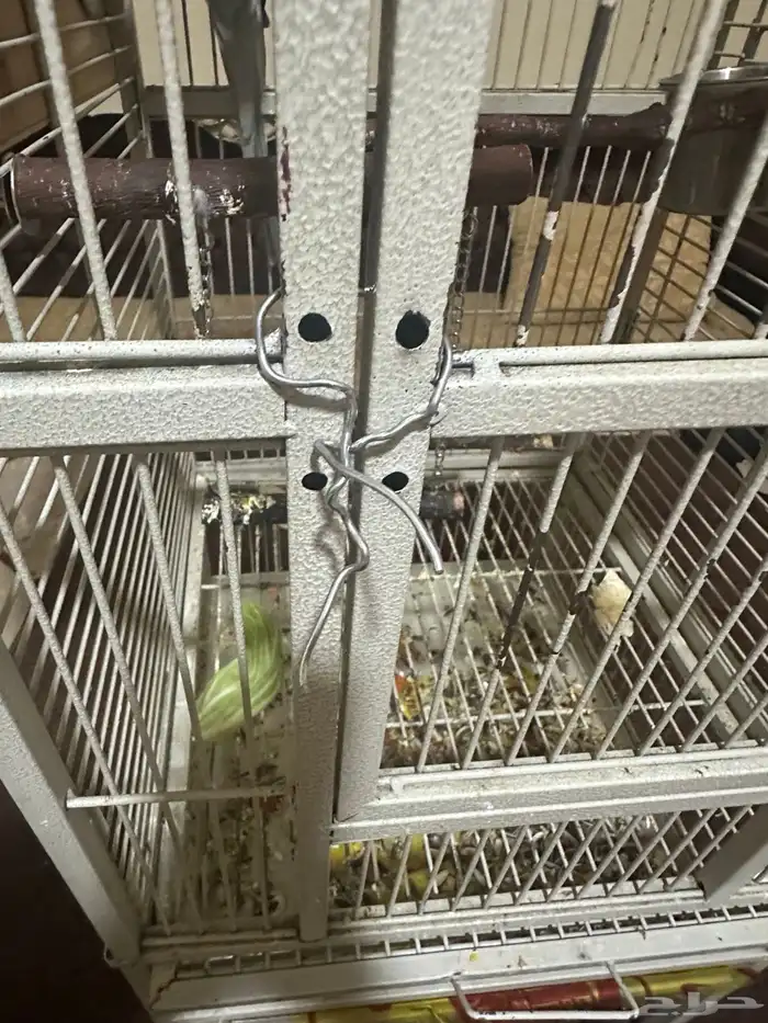 قفص كبير للعصافير 1