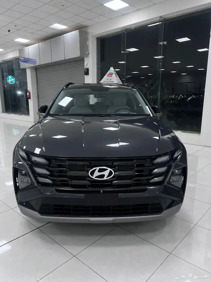 اكسنت سوناتا النترا 11