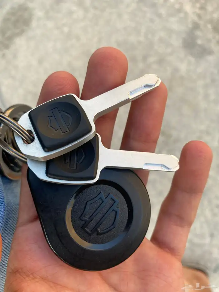 هارلي ديفيدسون لو رايدر اس تي Harley davidson Low Rider ST 17