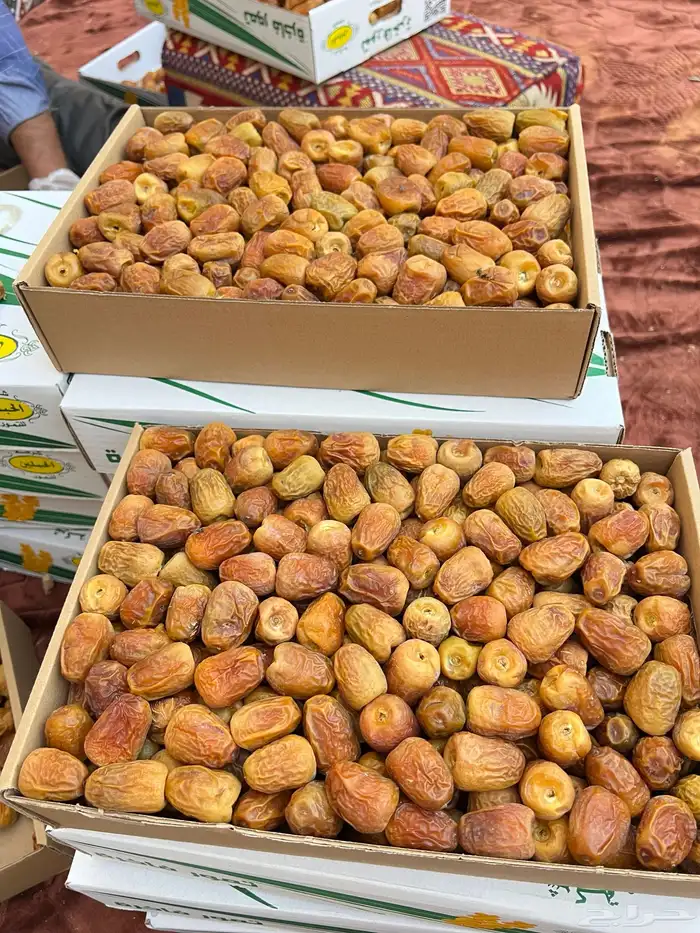 تمر سكري فاخر 9